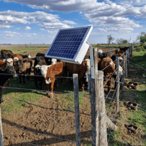 Alternative view of Electrificador Maracca 80km Panel Solar Y Bateria
