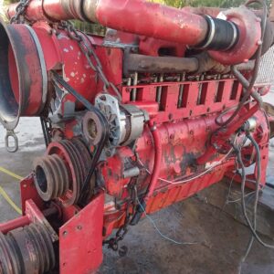 WhatsApp Image 2026 02 10 at 21.47.09